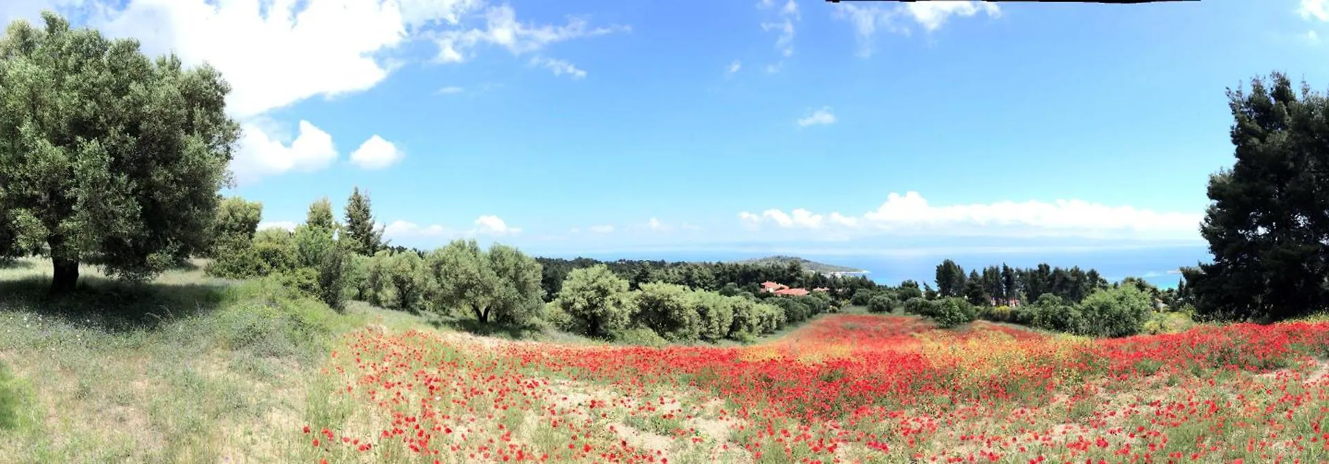 Villa Palatina Paliouri